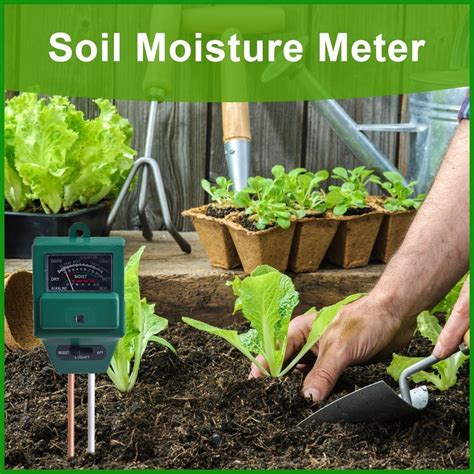 best garden moisture meter|most accurate plant moisture meter.